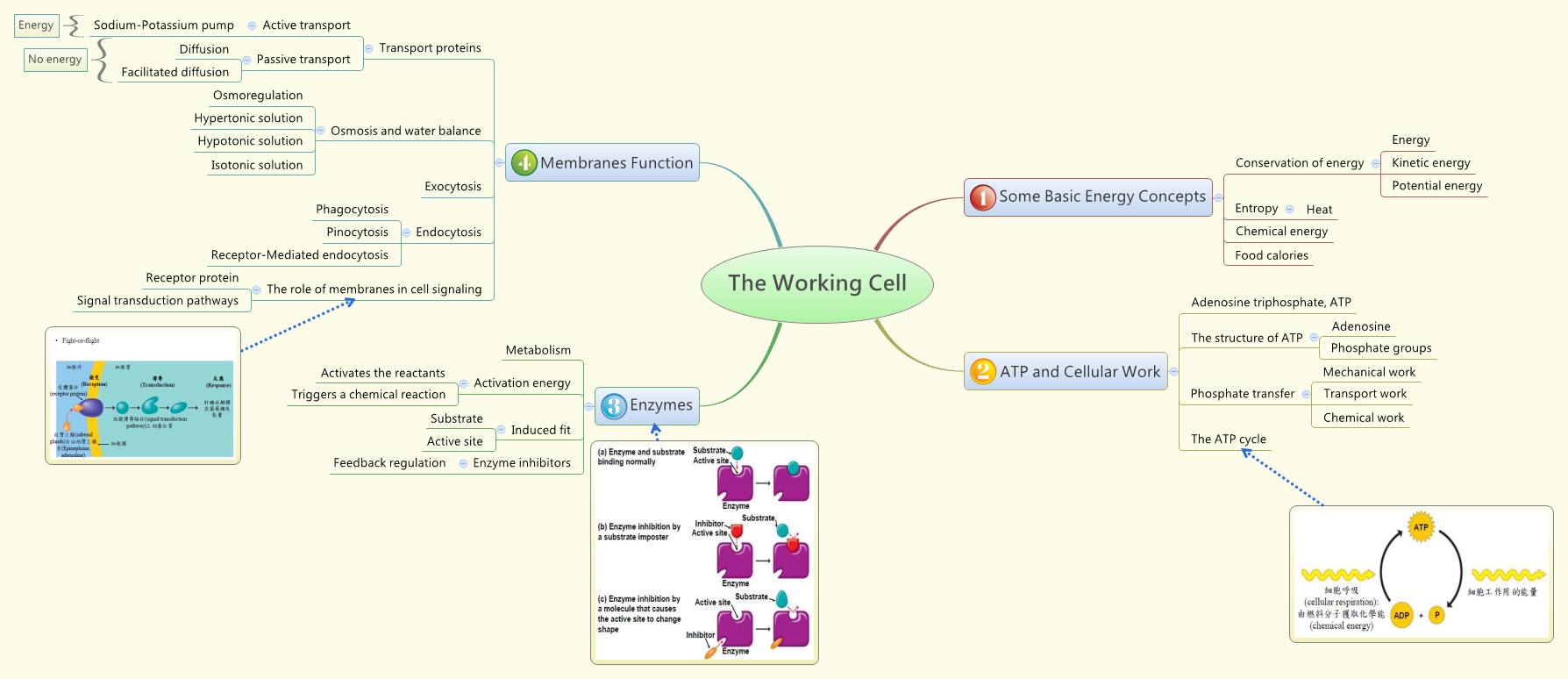 What Is The Concept Of Work Cells? – KEVEYD