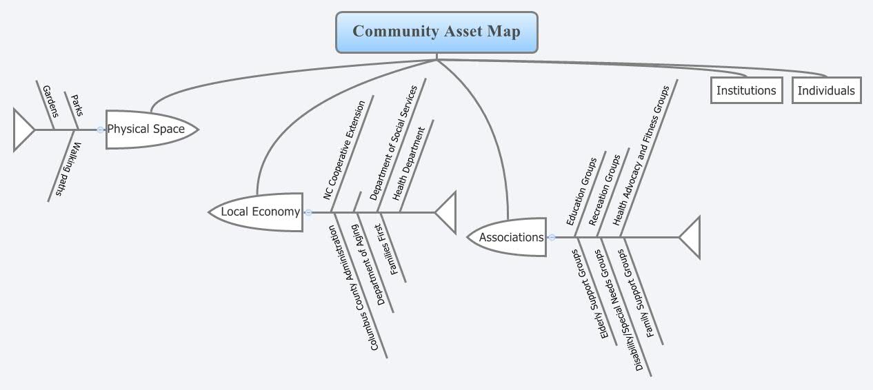 Community Asset Map -- XMind Online Library